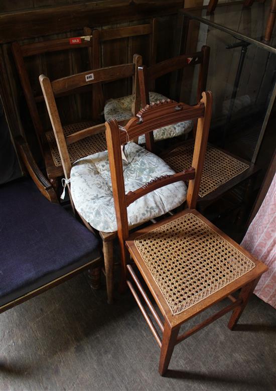 Eight cane & rush seat chairs